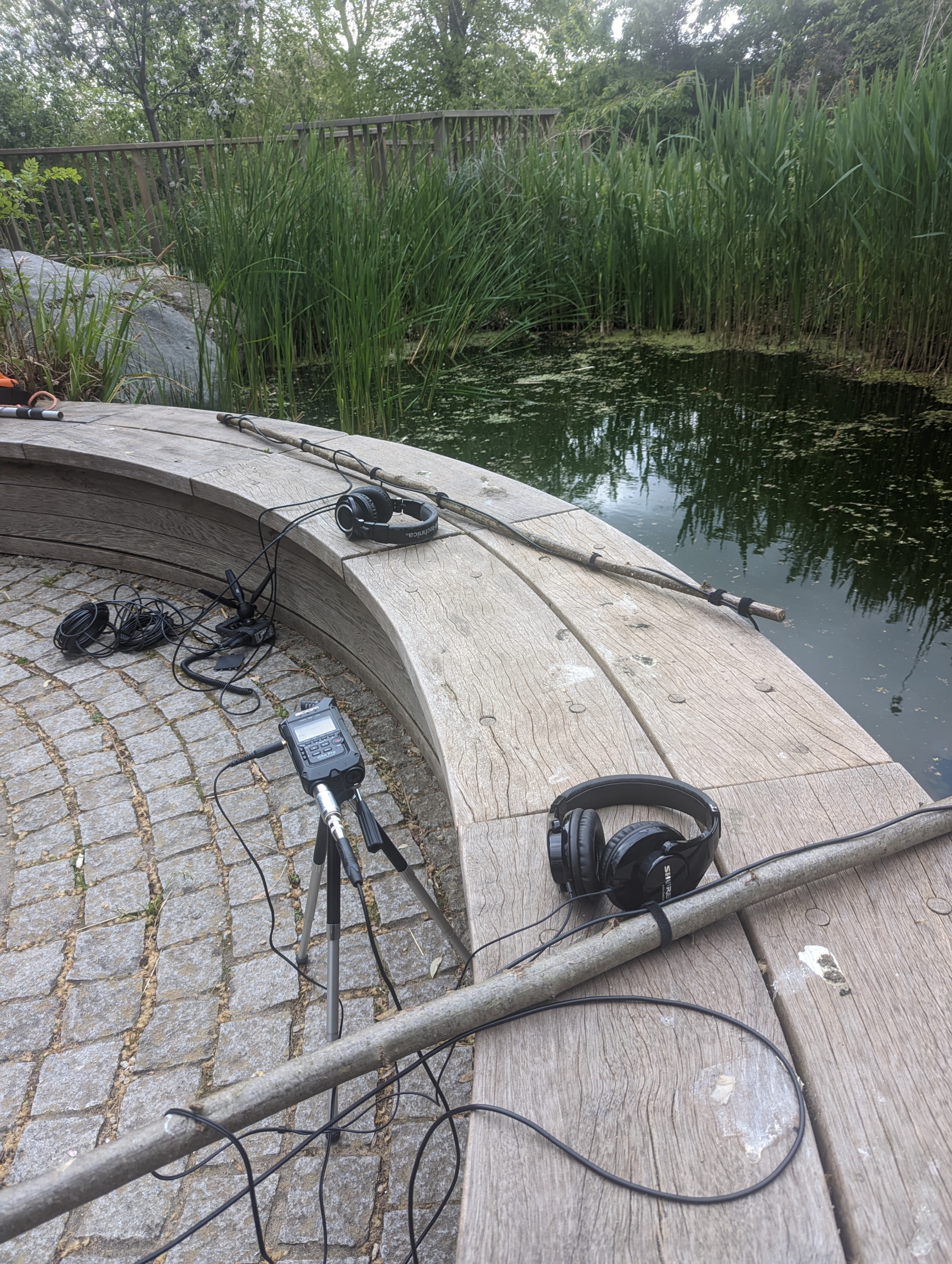 Sounds of the Subaquatic in The Royal Parks, London, led by sound artist Emily Peasgood, 2023. Two long pieces of birch are placed on a wooden bench that is next to the pond in The LookOut Garden at Hyde Park. It looks a bit like fishing rods, and a hydrophone is attached to the end dangling into the water. There are two pairs of headphones resting on the bench.